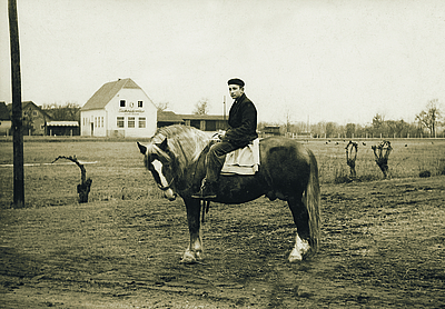 Willibald Klanfar mit seinem Hengst Vulkan, 1962.
