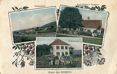 Postkarte, Siebing um 1917, Fotograf und Verlag unbekannt. Sammlung Walter Feldbacher